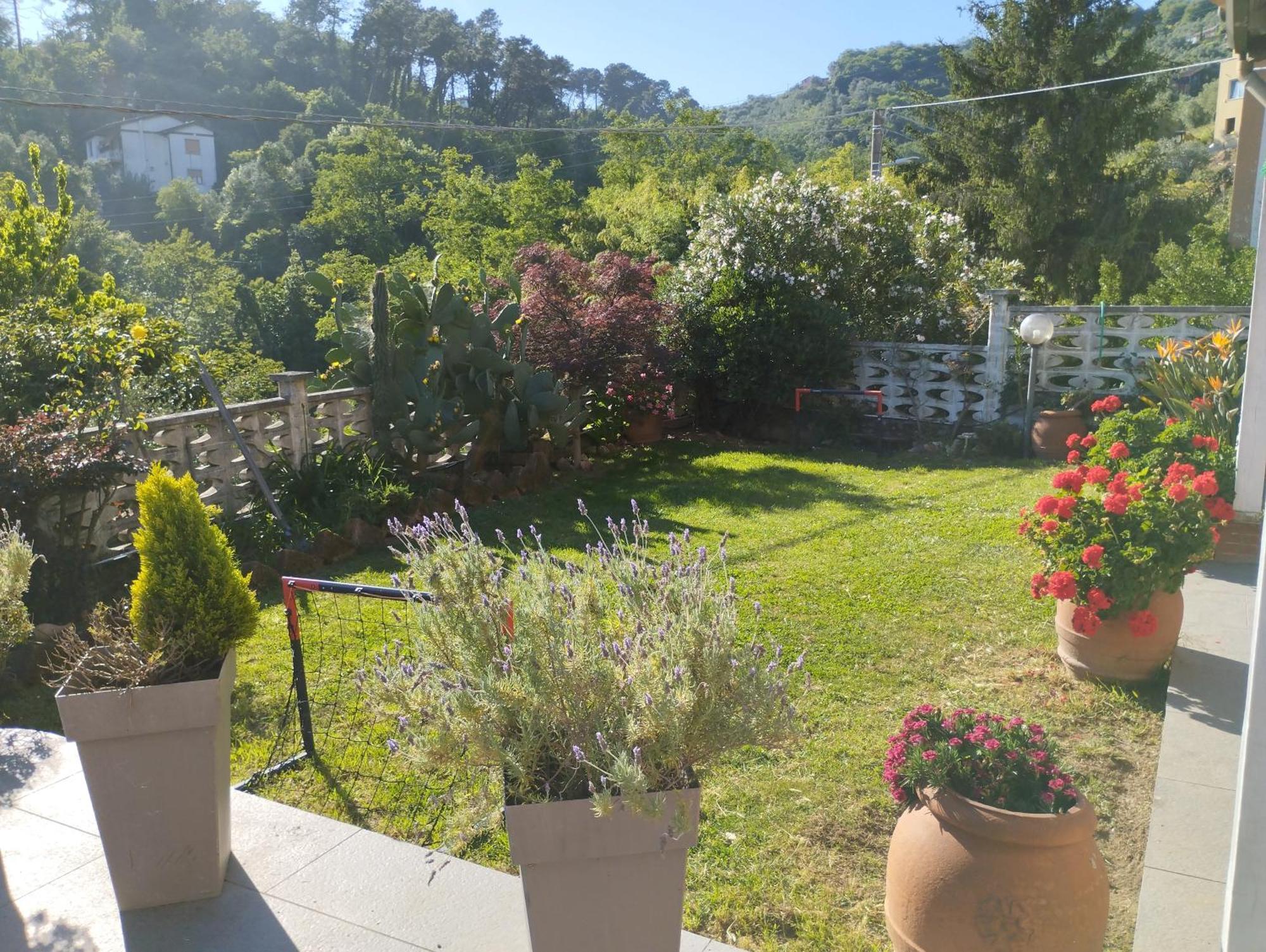Onde Te Ve? Apartment Λα Σπέτσια Εξωτερικό φωτογραφία